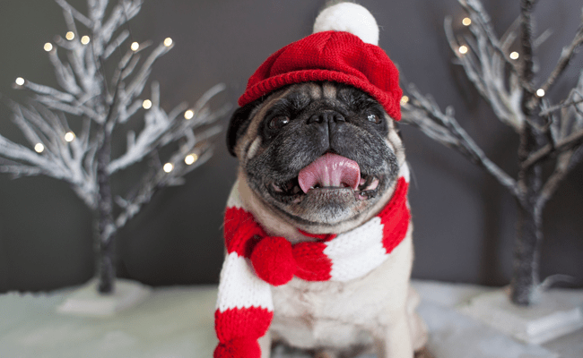 拖延癥小企業(yè)主進(jìn)行限時營銷的幾個技巧 拖延癥小企業(yè)主進(jìn)行限時營銷的幾個技巧