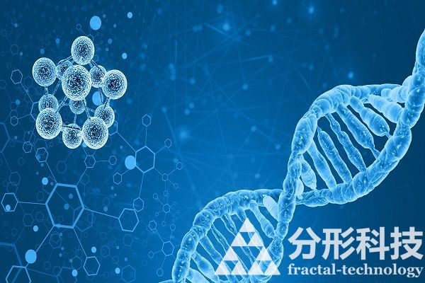 醫(yī)院網(wǎng)站建設(shè)：守護(hù)健康的專業(yè)醫(yī)療服務(wù)平臺